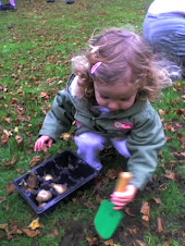 Planting bulbs