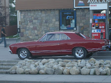 Mustang