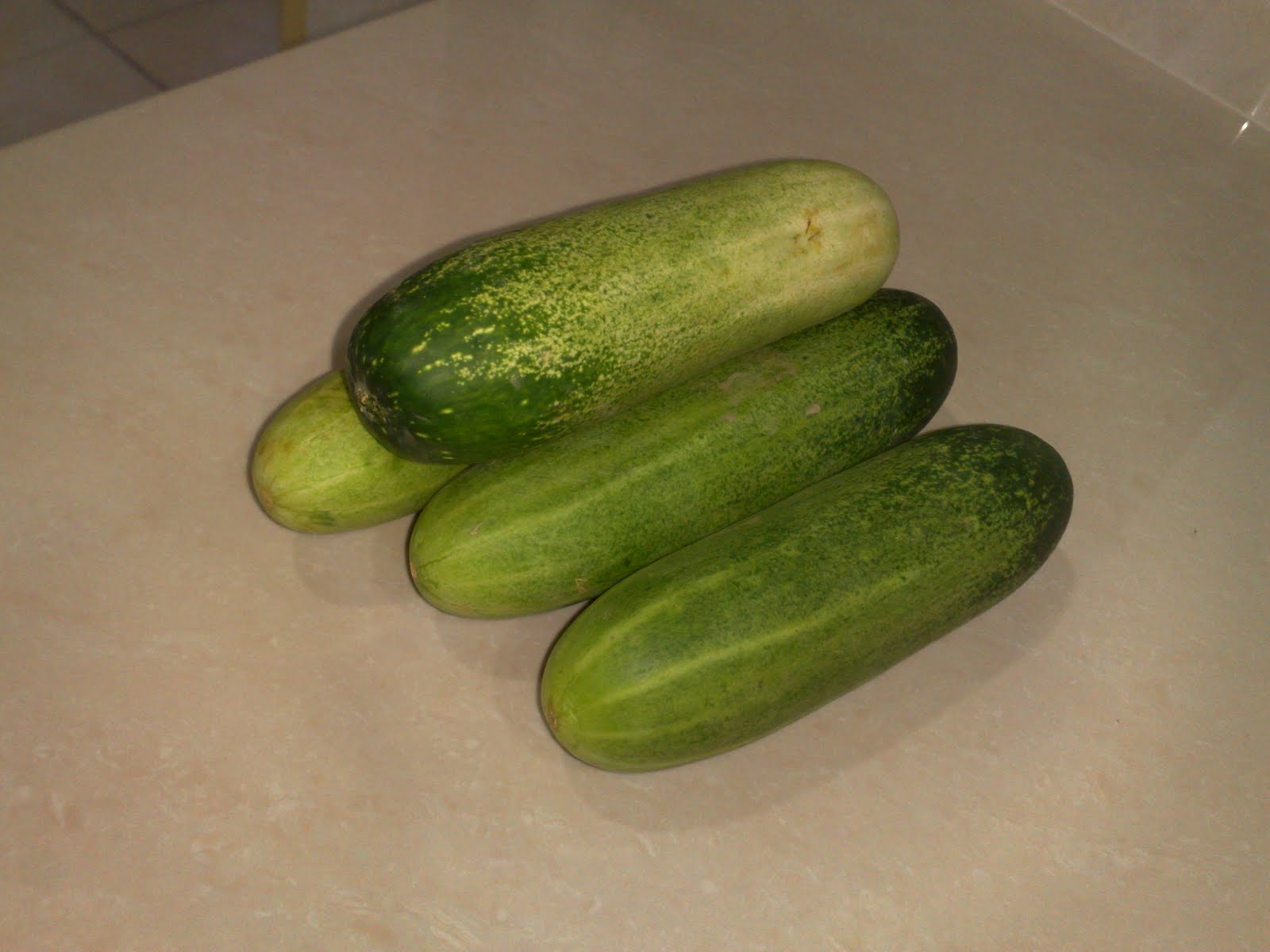 AY holiday journal Veges are cheap