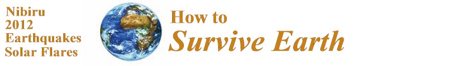 How to Survive Earth