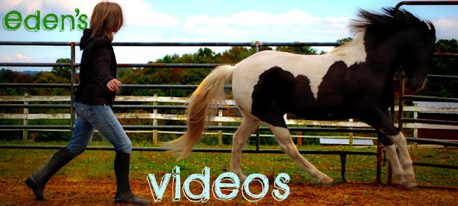 Eden's Videos