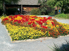 Small garden at Shelburne Museum