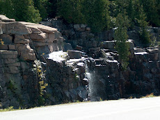 Small waterfall in the park