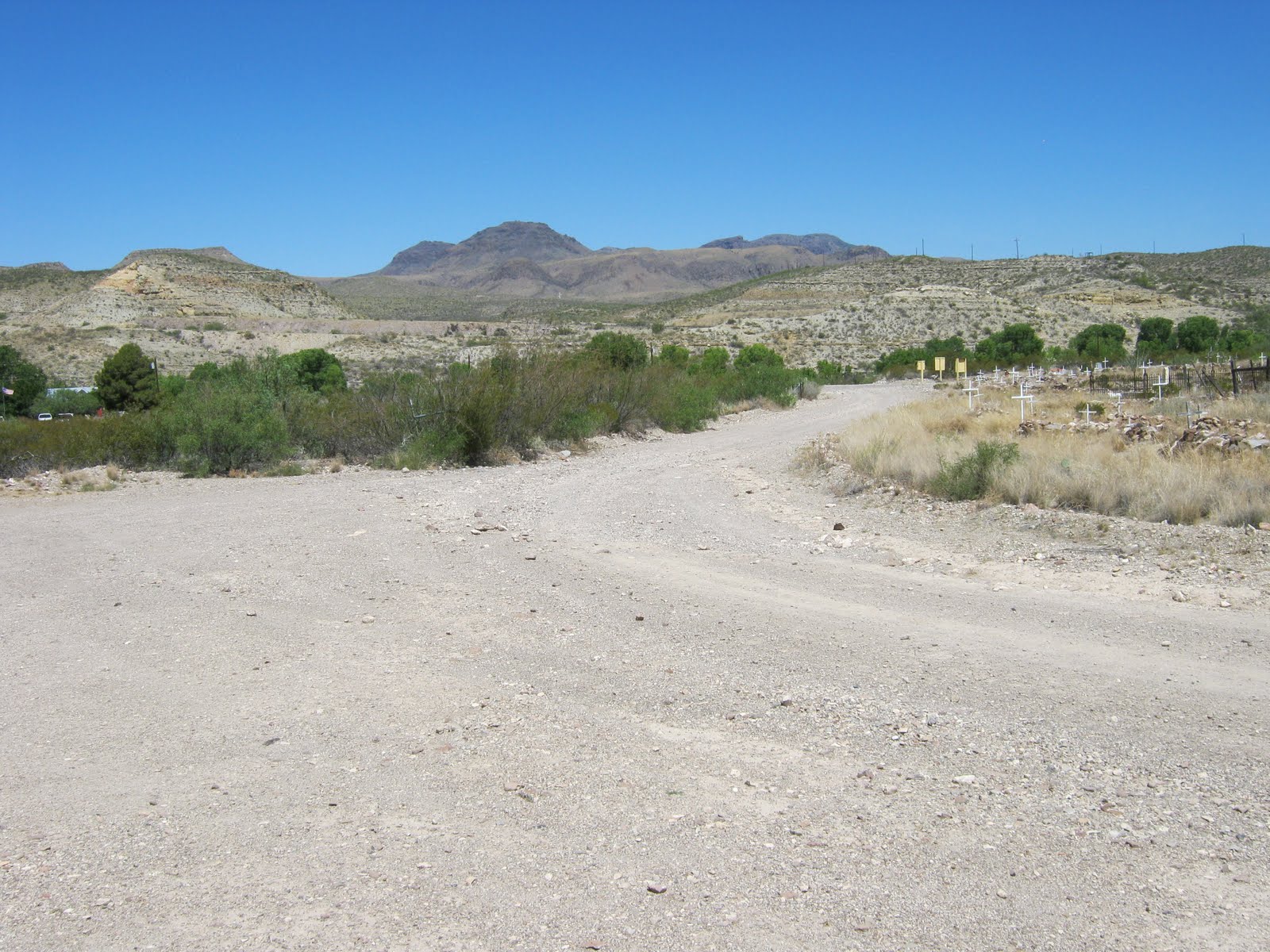 Bird Song Outpost: Trip to Shafter, Tx