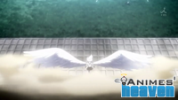 Angel Beats 11