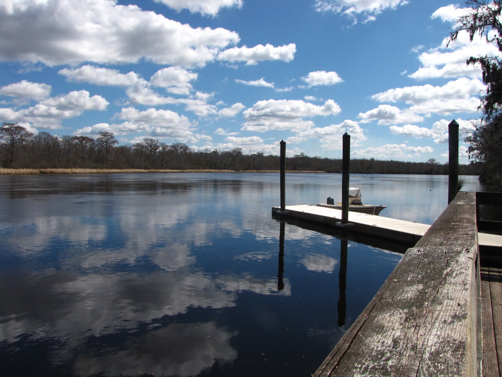 Conservation of Marine Resources Busy week at Point