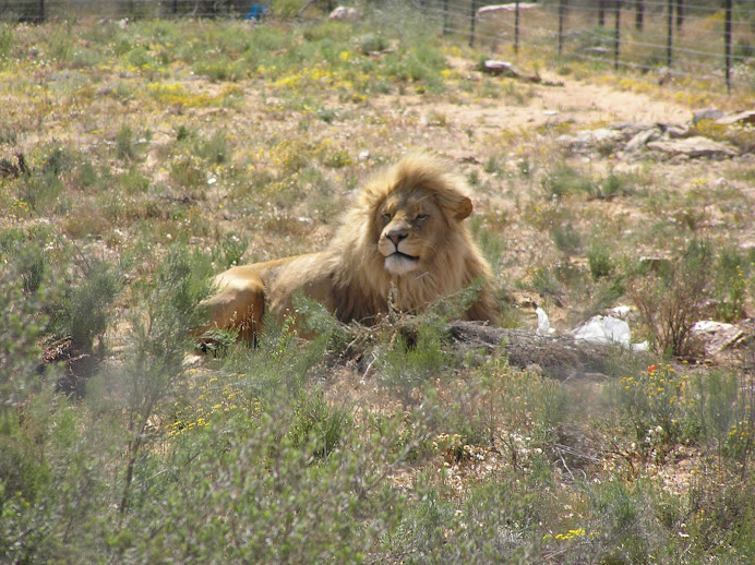 South Africa