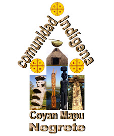 Comunidad Indígena Coyan Mapu