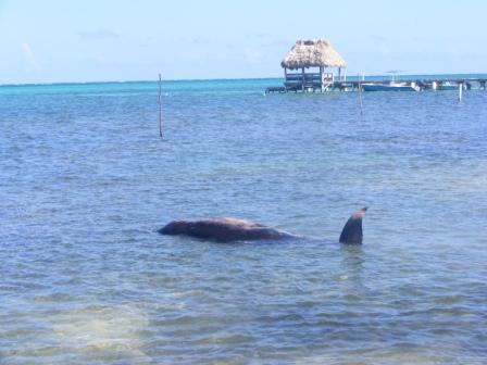 [Picture+016+-+sm.jpg]