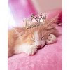 the "queen" of pink dreaming