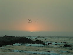 Pacific Grove Sunset - July 2008