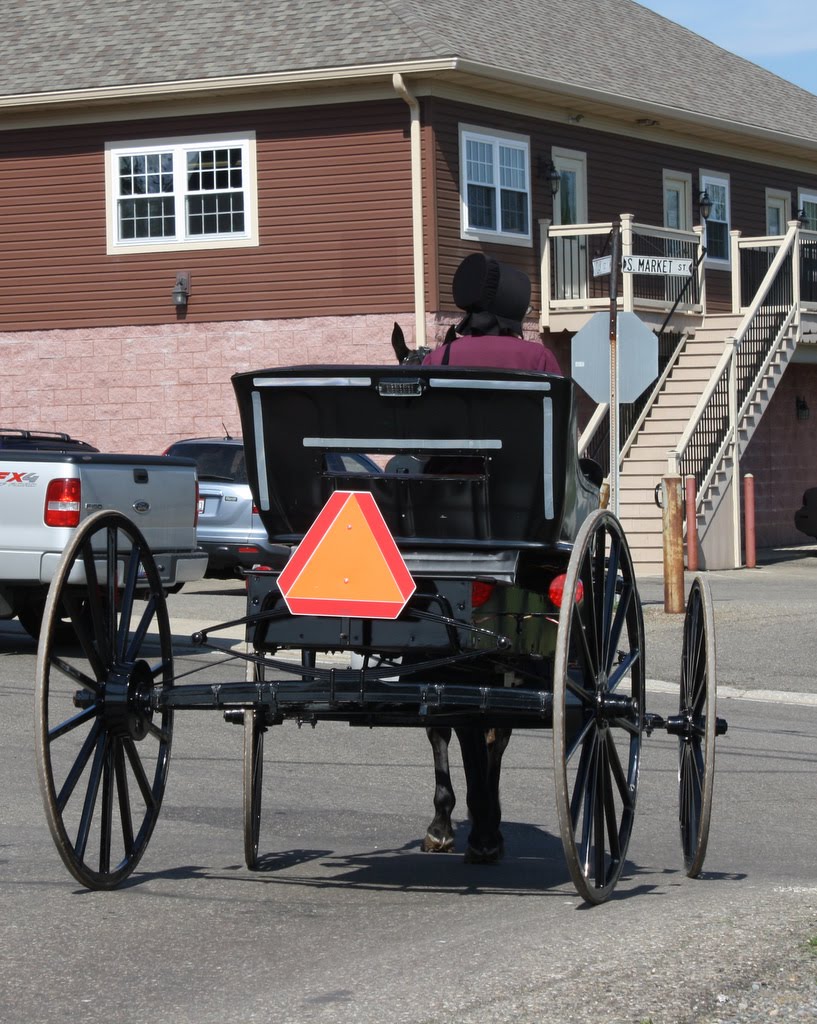 That's My Story.... Amish Buggies