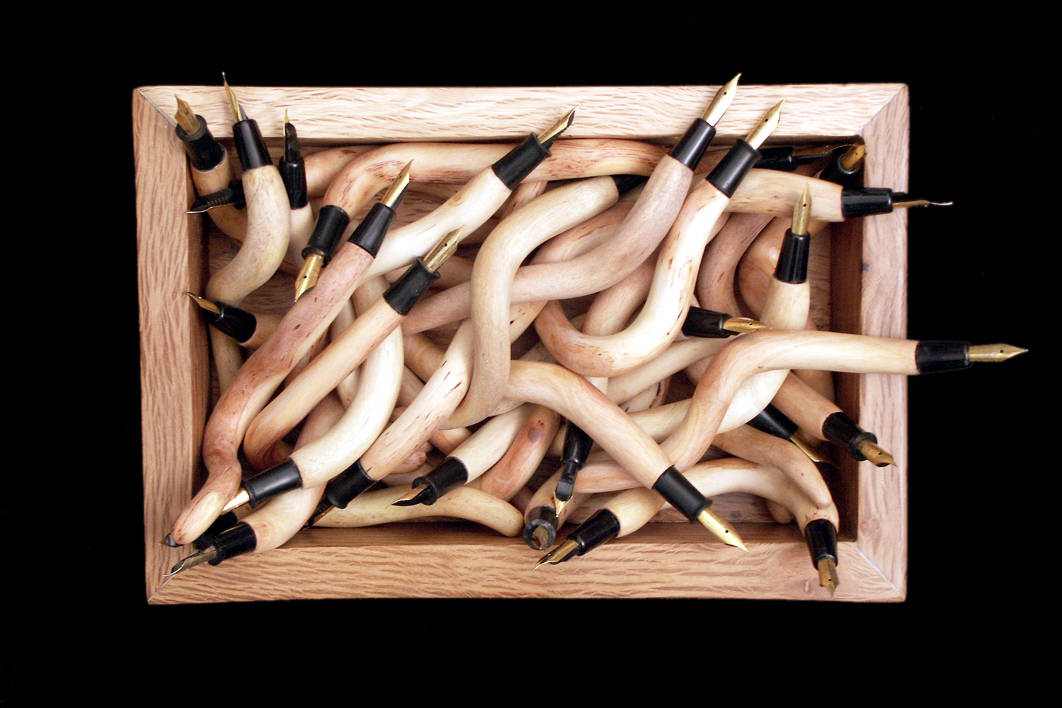 [nido+de+vivoras.jpg]