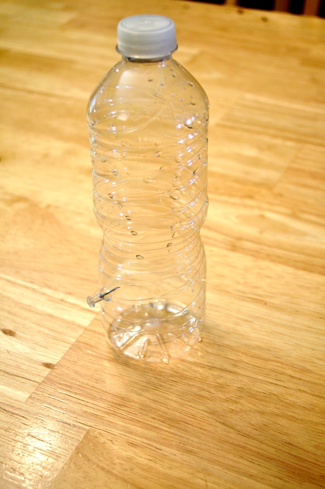 Water Bottle Experiment - Kids Activities | Saving Money | Home