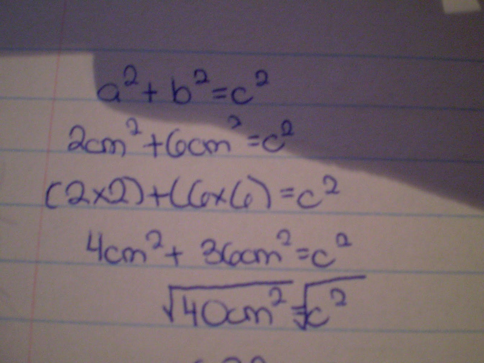 817 Math (2010): November 2010