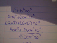 817 Math (2010): November 2010