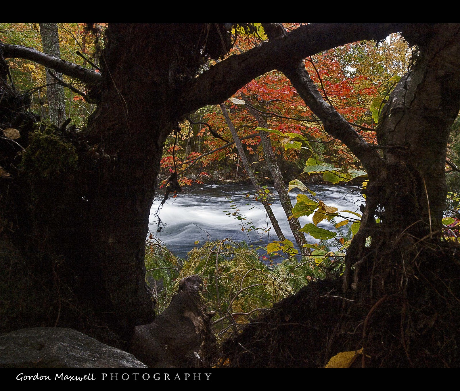 Gordon Maxwell Photography Southern Ontario Landscapes