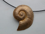 bronze shell