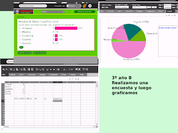 Realizamos encuestas y graficamos