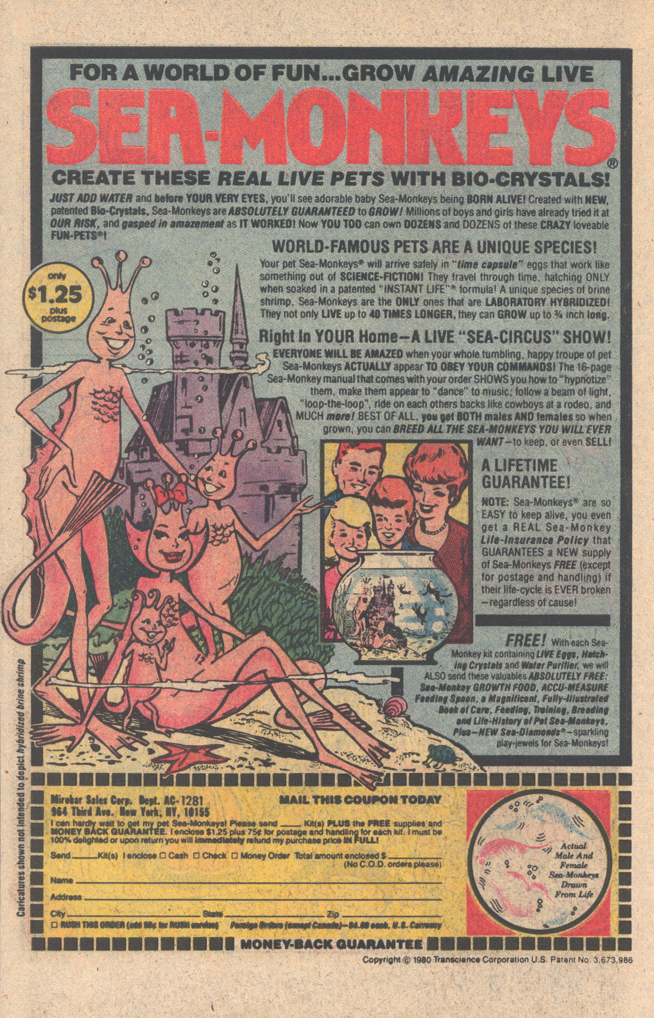 Read online Archie Giant Series Magazine comic -  Issue #512 - 34