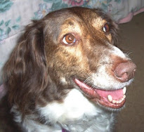 RIP Lady 04/08/1998-03/01/2011