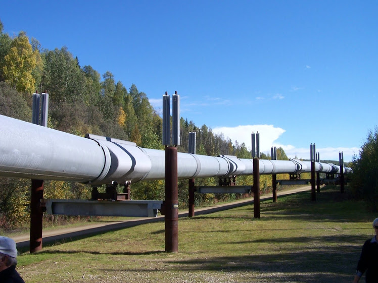 The Pipeline