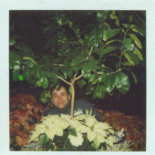 Dad hiding behind Opryland Tree