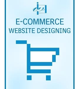 E Commerce Website Designing- No Amateur Game
