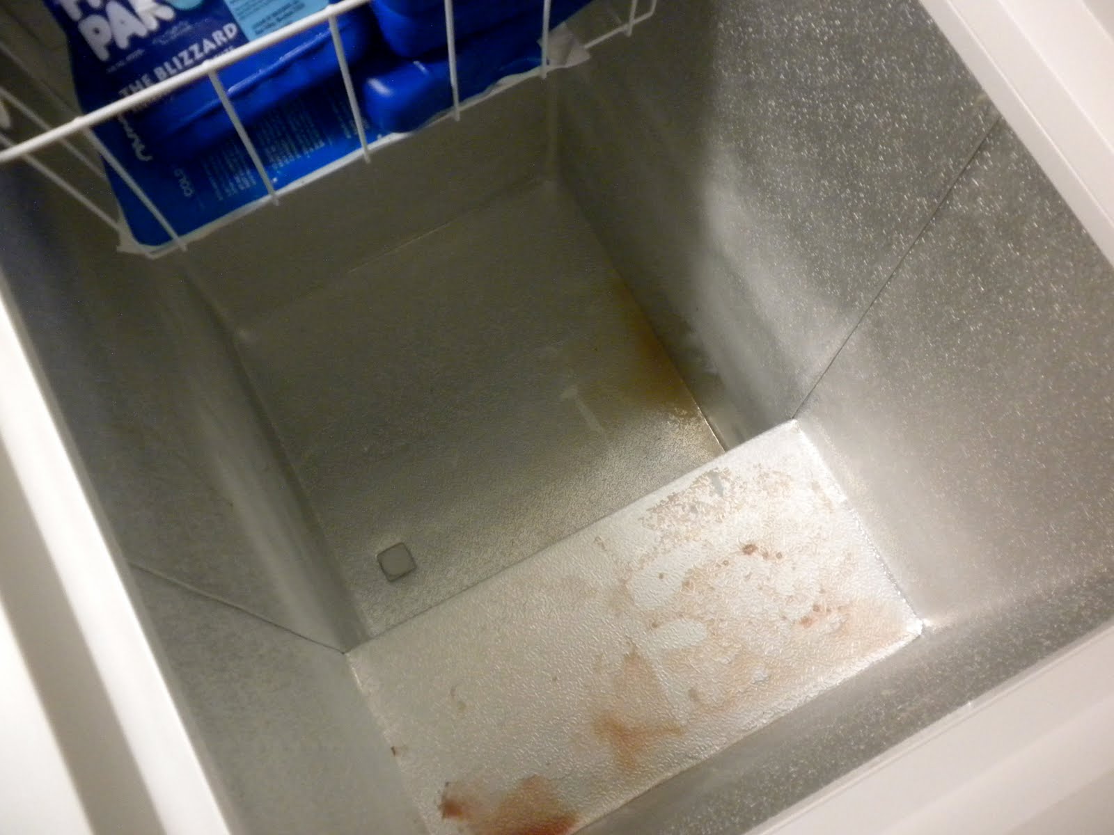 grass stains: A Freezer Fable