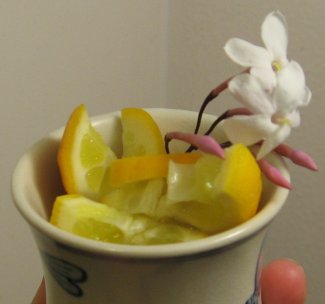 [IMG_4358sm.JPG]