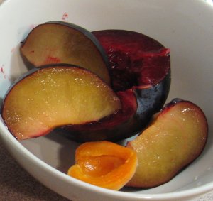 [IMG_1952sm.JPG]