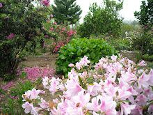 Deixe a vida fazer com você, o que a primavera faz com as flores..."