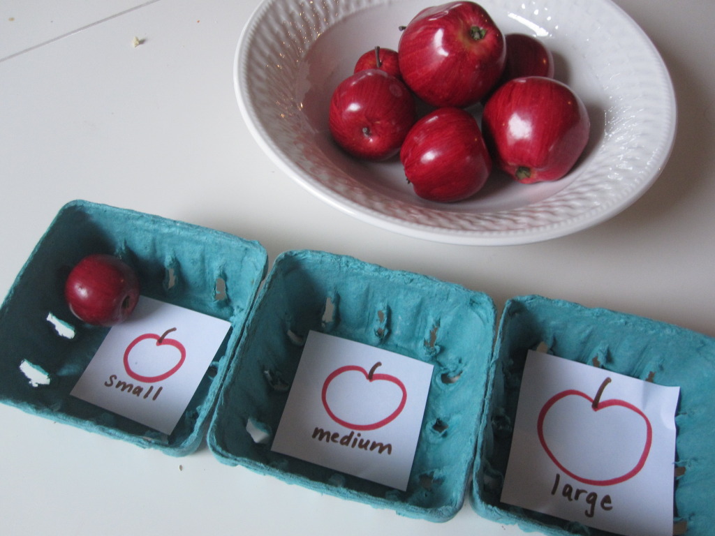 Show And Share Saturday Apple Sorting I Can Teach My Child show-and-share-saturday-apple-sorting-i-can-teach-my-child