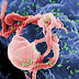 Descifran genoma del VIH