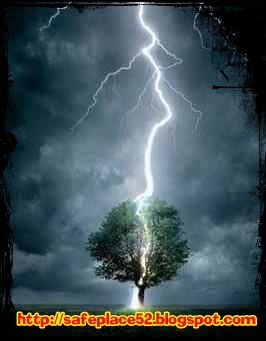 [Raio+atinge+arvore.jpg]