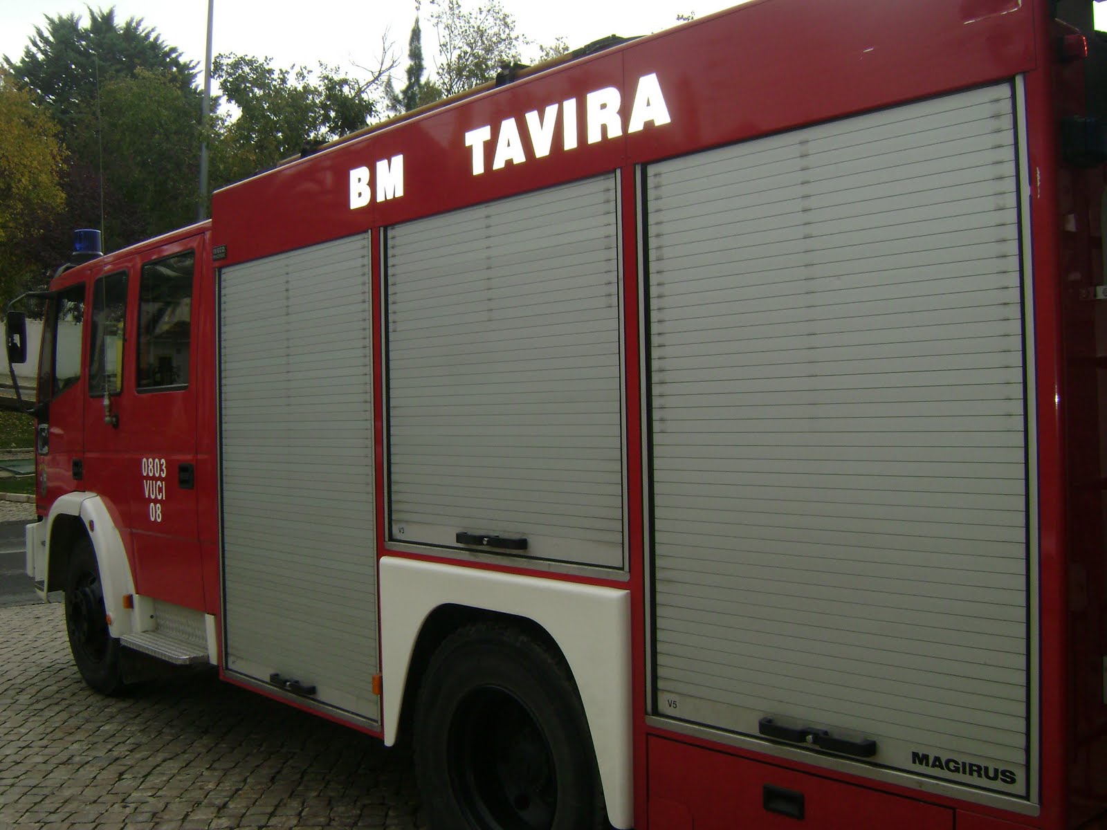 [aniversário+daniela+054.JPG]