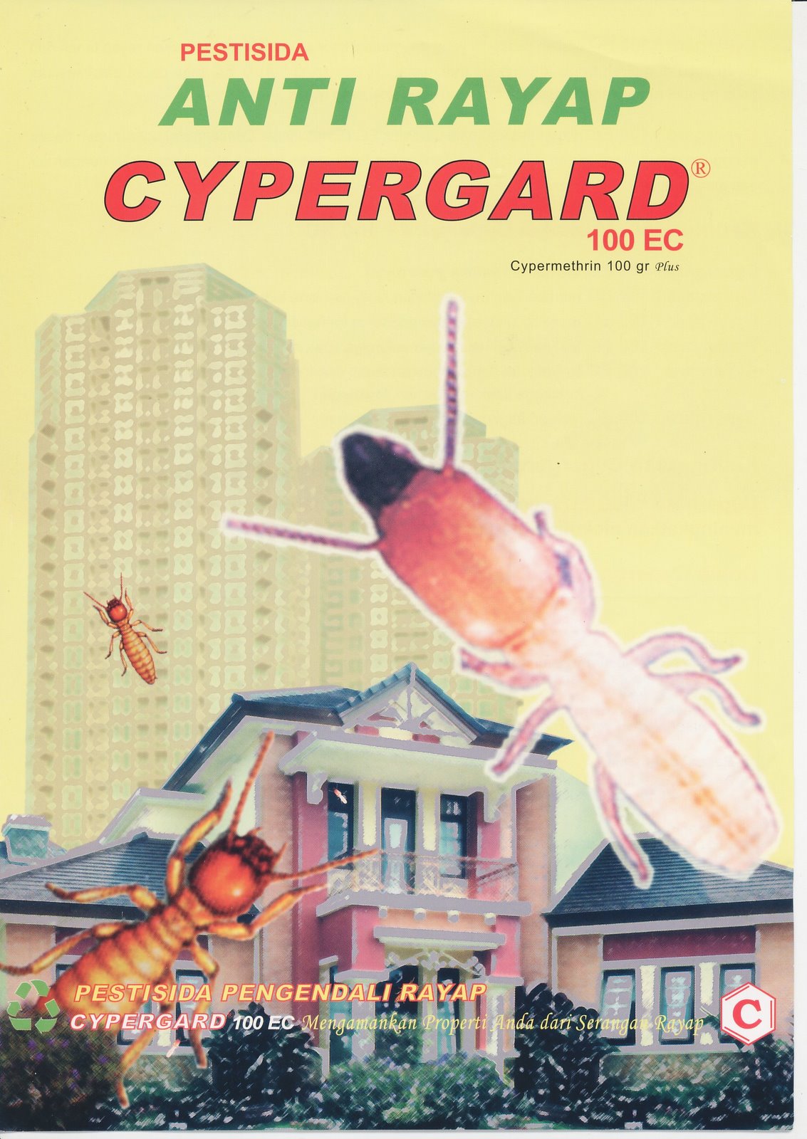 [Cypergard+Antitermite+1.jpg]