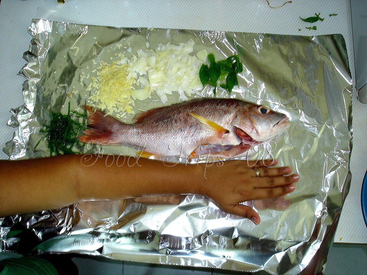[fish+for+dinner.jpg]