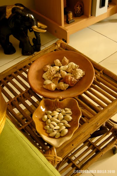 Kavade Shells She sells seashells on the seashore... | All Soupi's