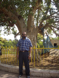 Self at the bibilical Sycamore Tree in Jericho.