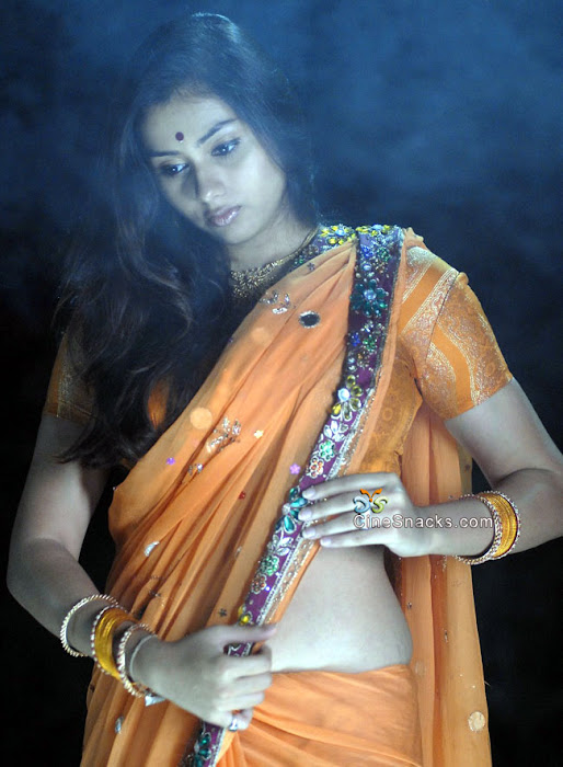 namitha in orange saree photo gallery