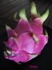 [Pitaya+rouge.jpg]