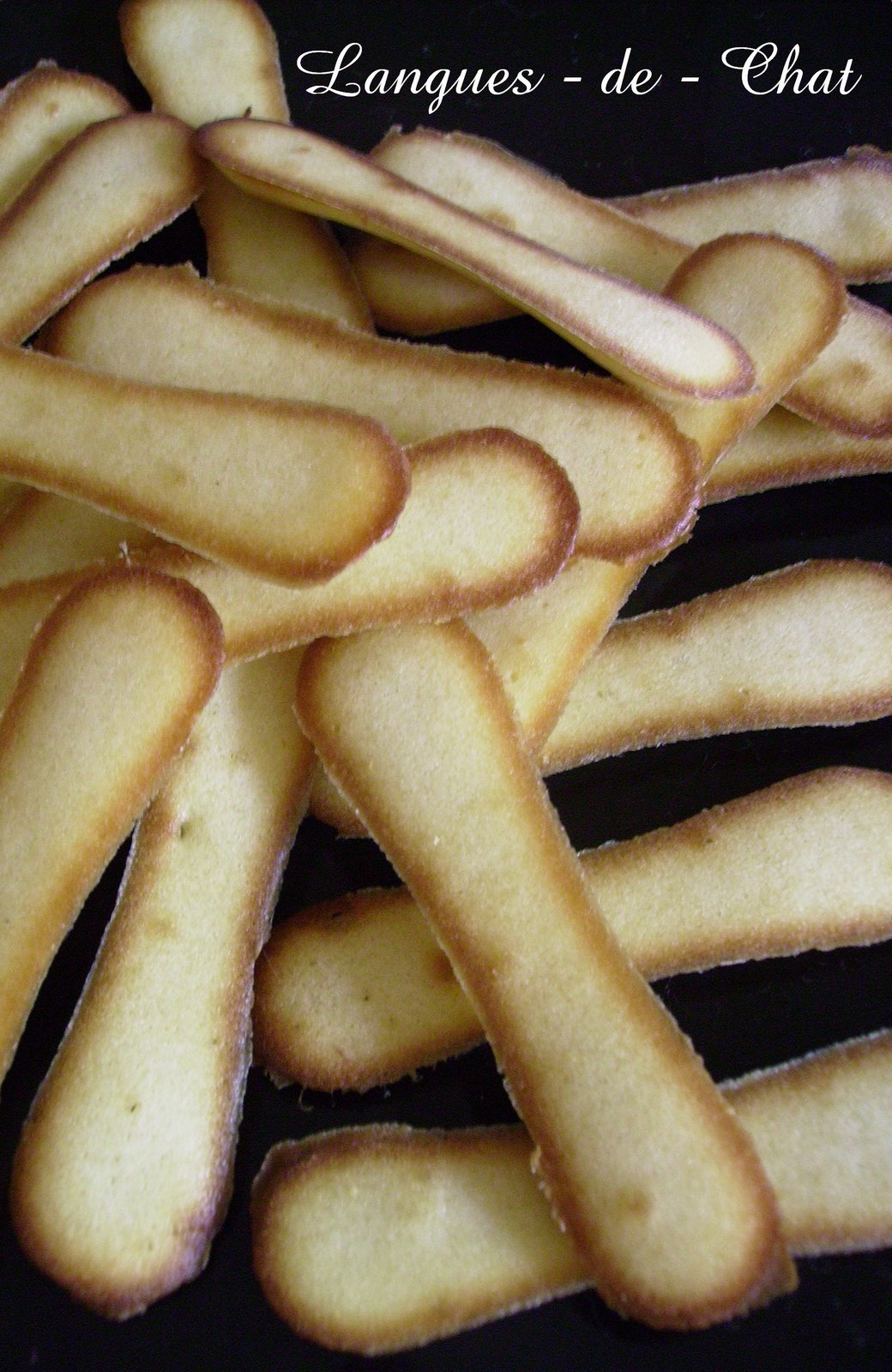 [Langues-+de-+Chat_003.JPG]