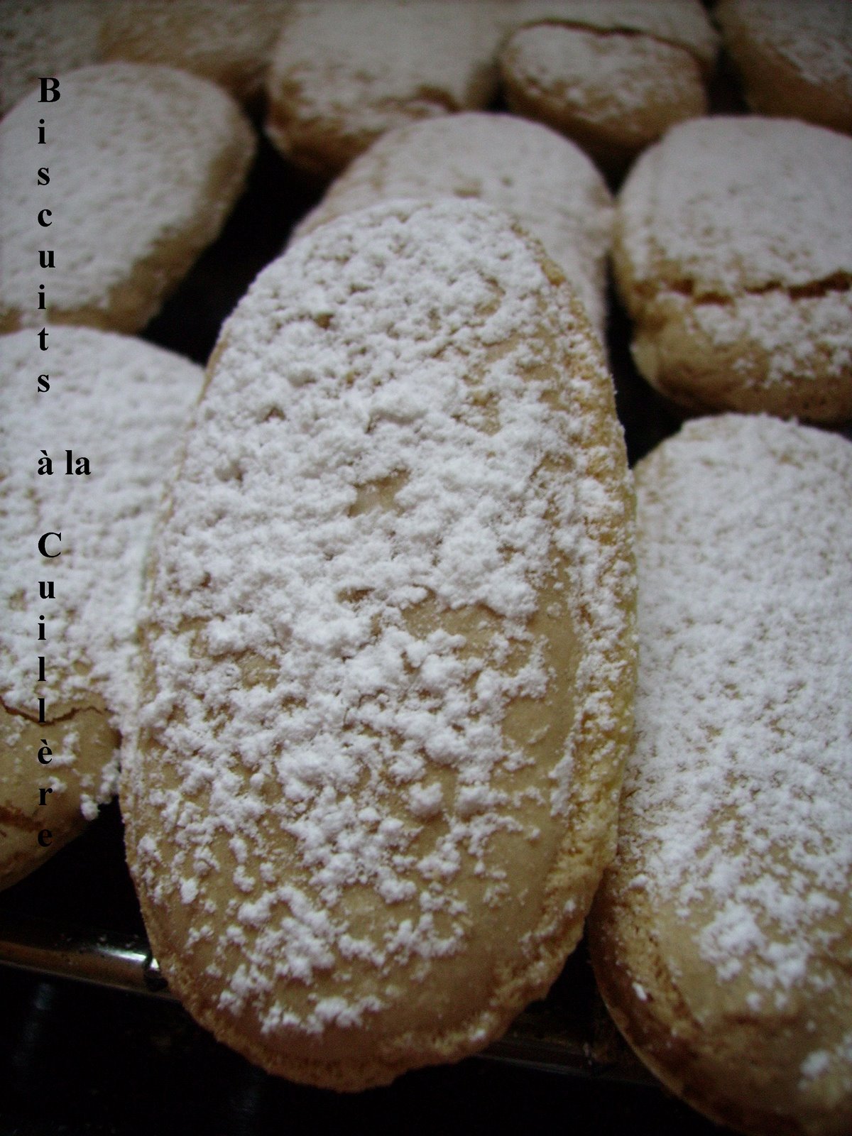 [Biscuits+à+la+Cuillère_3.jpg]
