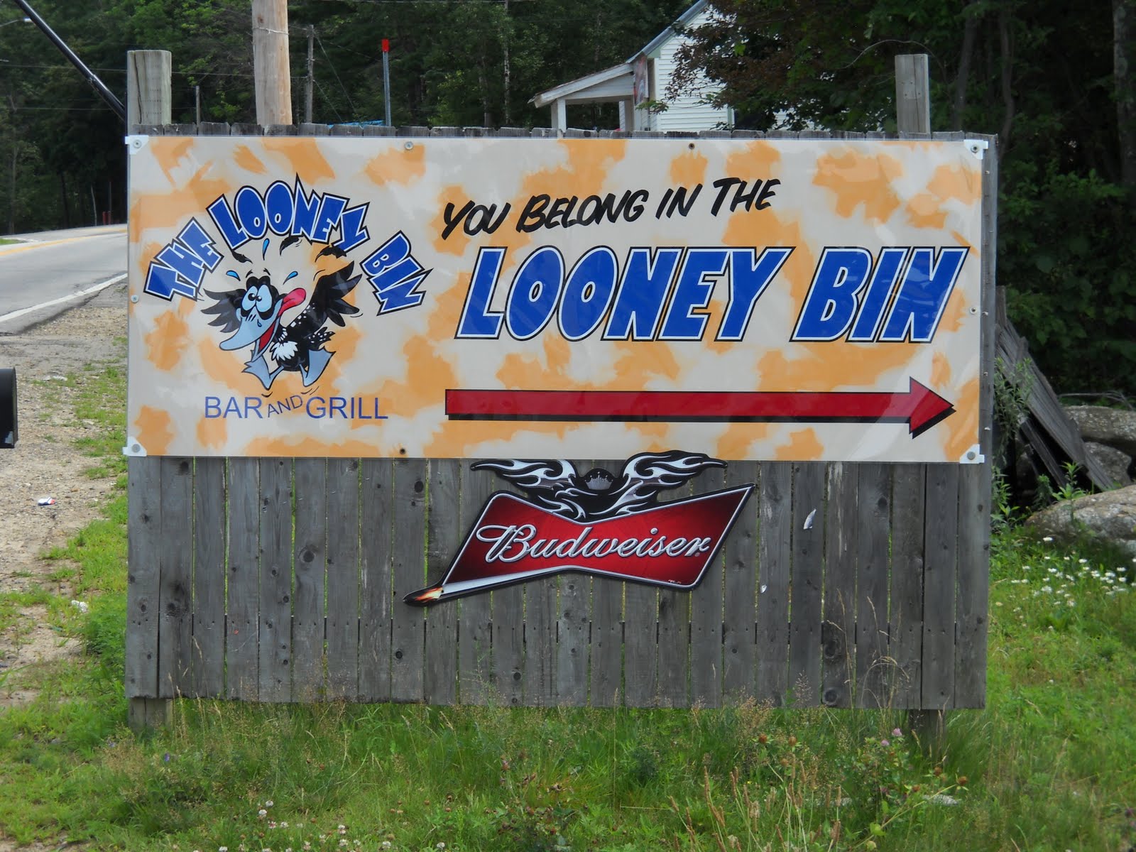 Let's Ride! Horny Girl Scout Anyone?