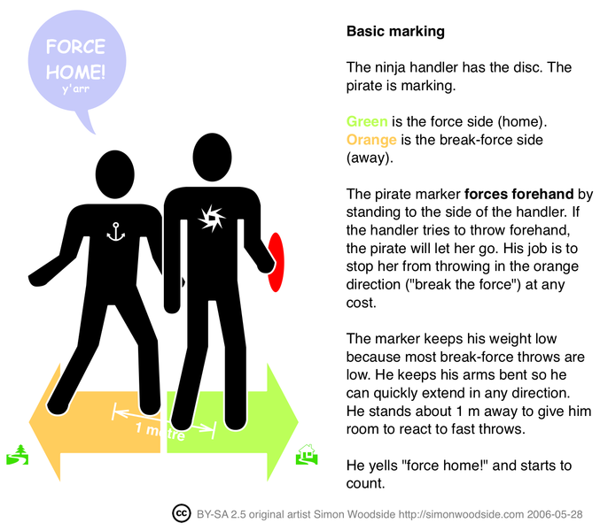 Ultimate Frisbee Frisbee Defensive Tactics