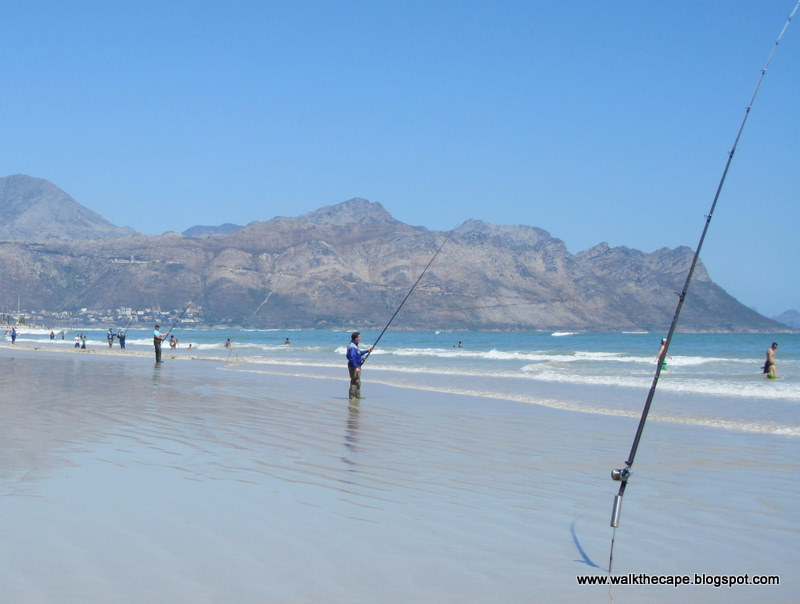 Walking the Cape Strand Beach