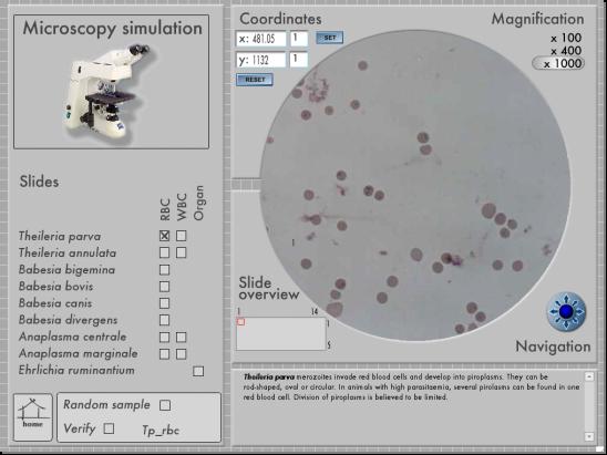 [microscopieSimulatie.jpg]
