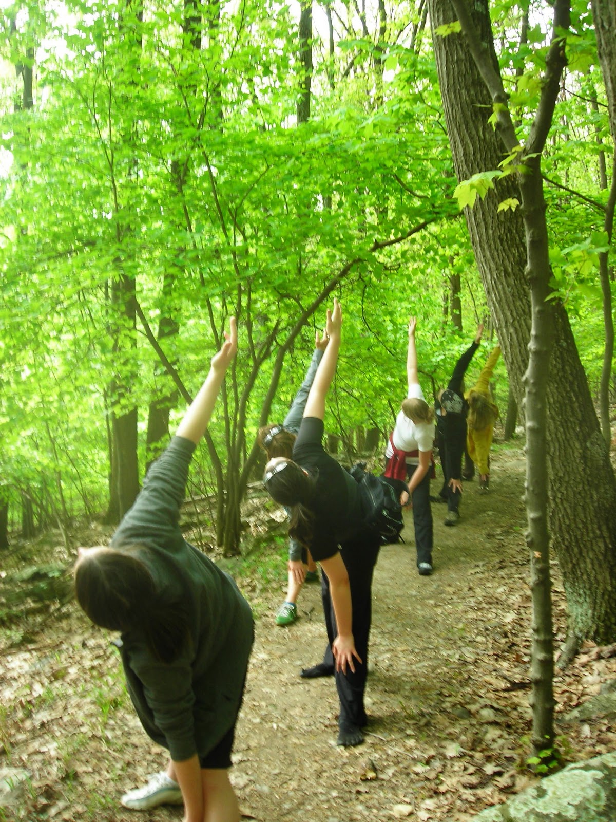 Living Balanced Yoga In The Woods