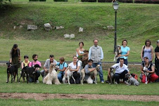 NUEVAS FOTOS DE NUESTROS GALGUITOS EN EL PASEO ORGANIZADO POR RAQUEL EN ASTURIAS